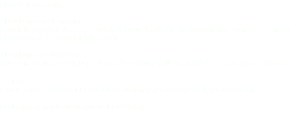 Brand Pietrasanta: Abbigliamento Femmina:
Parrot, Ki 6?, Babe & Tess, Trussardi, Pepe Jeans, Aletta, Laranjinha, Twin Set, T-Shirt T-Shop, Brums, St. Barth, Bikini, Catya. Abbigliamento Maschio:
Brooksfield, Trussardi, Pepe Jeans, Bob, Brums, Aletta, Babe & Tess, Catya, St. Barth. Scarpe:
Chipie, Crocs, Colors of California, Havaianas, Agata Ruiz de la Prada, Bloch. Dalla prossima stagione anche New Balance.